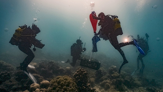 MISSION SAVING PARADISE