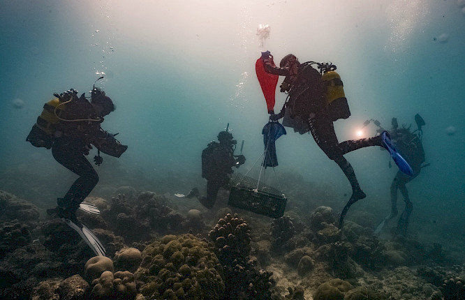 2023 Autentic Distribution