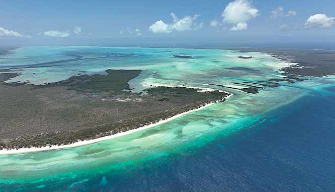 2023 Autentic Distribution