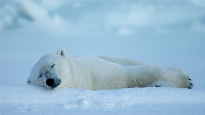 2024 Alexandra und Steffen Sailer