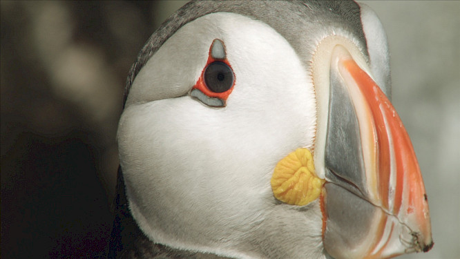 2024 Alexandra und Steffen Sailer