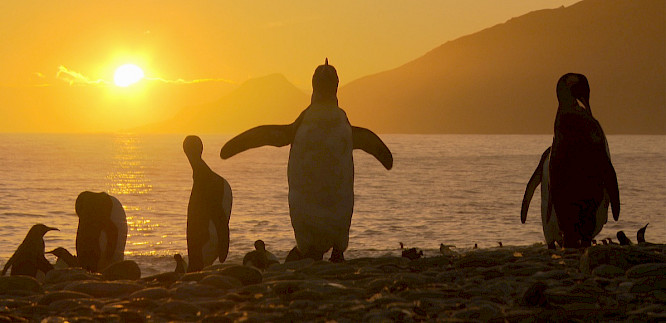 2023 Jens Klingebiel | Marco Polo Film