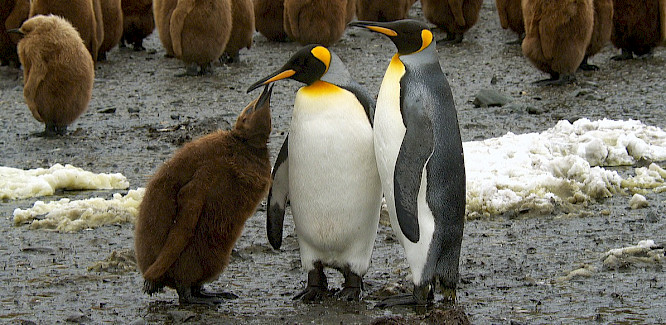 2023 Jens Klingebiel | Marco Polo Film