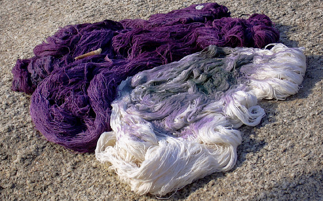 2024 barbara trottnow medienproduktion