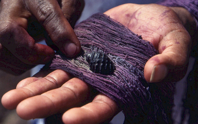 2024 barbara trottnow medienproduktion