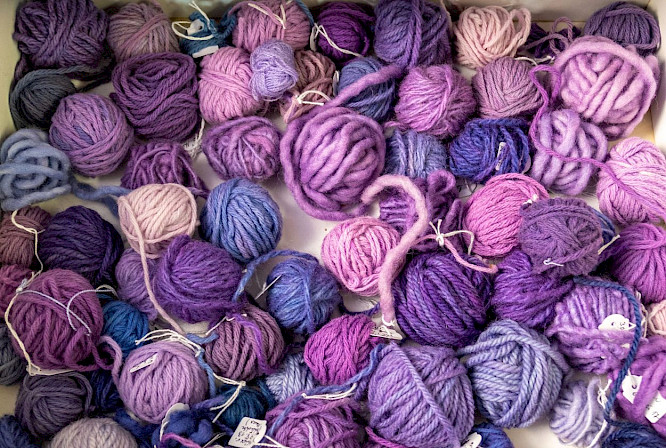 2024 barbara trottnow medienproduktion