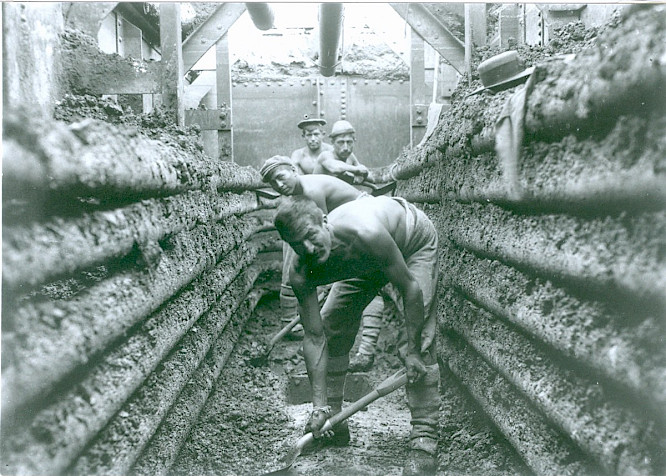 2001 World TV Krieg & Nolte GbR