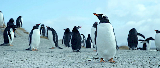 2022 Michael Urs Reber | HFF Munich