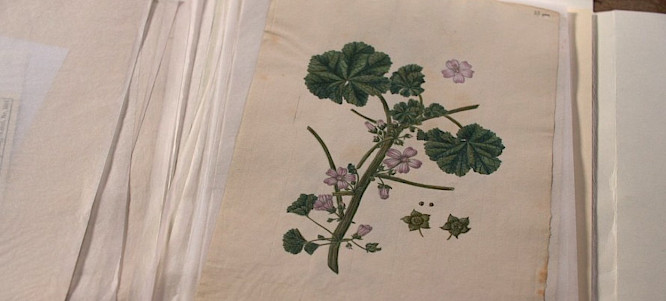 2024 Vita Spie&szlig;