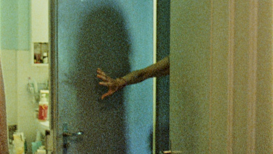 TRACES OF MOVEMENT BEFORE THE ICE 