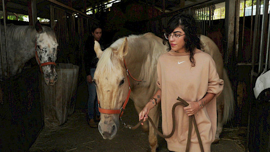 SUPERNOVA: THE FESTIVAL MASSACRE