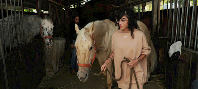 2024 Gebr&uuml;der Betz | TVF