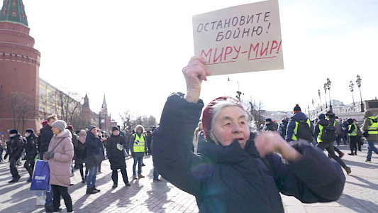 OF CARAVAN AND THE DOGS