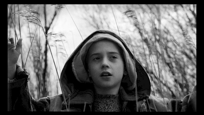 2024 Filmgalerie 451 