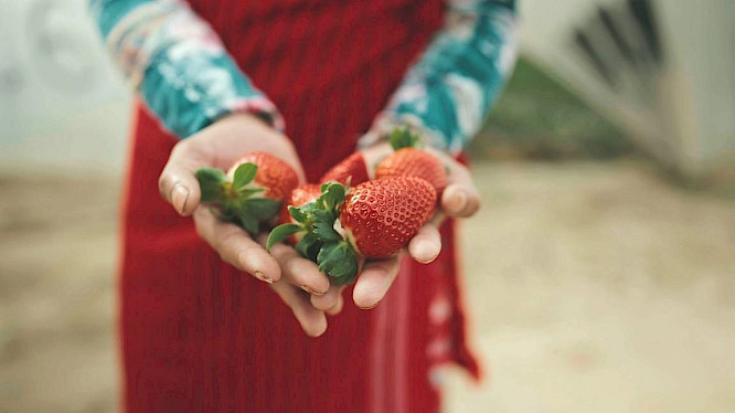 2024 berlin producers Media GmbH