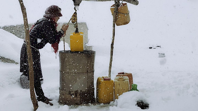 2024 CAT&Docs | Clin d'oeil films | ROW Pictures GmbH