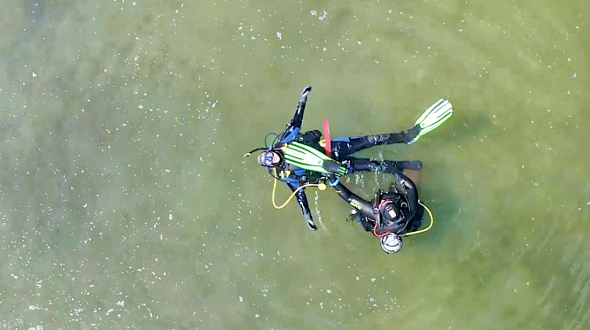 2024 Pangolin Doxx Film