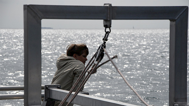 2024 Pangolin Doxx Film