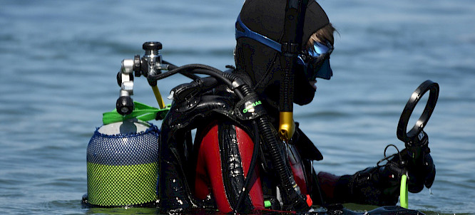 2024 Pangolin Doxx Film