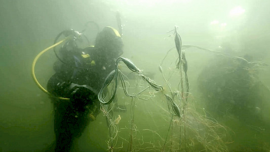 FREDDY &ndash; I DIVE FOR GHOST NETS