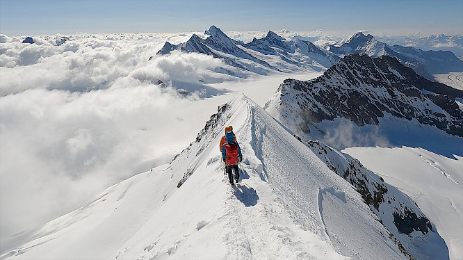 2024 ndF Entertainment GmbH