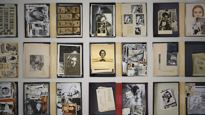 2024 Vincent Productions  | Beta Cinema |  Majestic Filmverleih