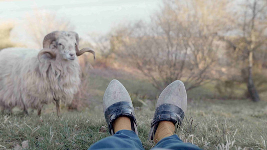 PREPARATIONS FOR A MIRACLE