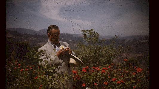 CONFESSIONS OF THOMAS MANN, CONFIDENCE MAN