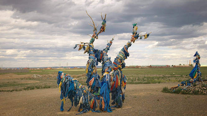 2024 Beetz Brothers Filmproduction | Filmdelights