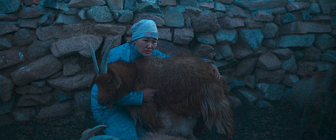 2024 CINEPHIL | Chromosom Film | Guru Media | Over Here Productions