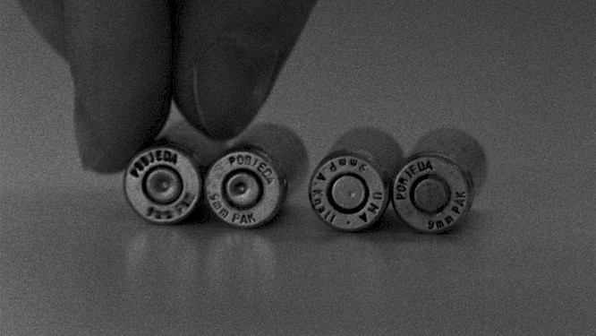 &copy; Mina Simendić