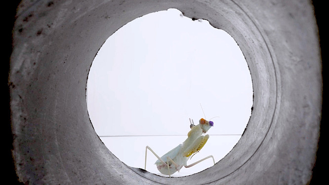 &copy; Juliane Jaschnow, Stefanie Schroeder