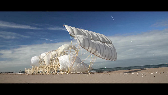 Strandbeest by Theo Jansen. Film still from bauhaus forever. &copy; NOW Collective 2026  01 bauhaus forever.site.jpeg